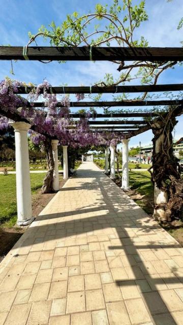 Ines Hotel Mendoza